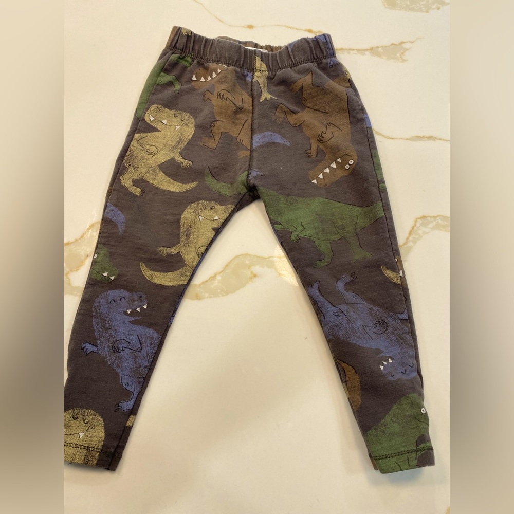 Zara Dinosaur print leggings